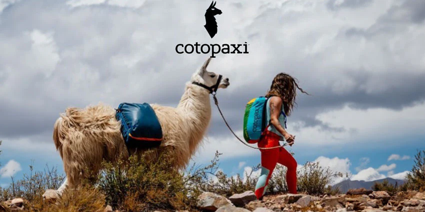 Your Favorite Brands, One Destination